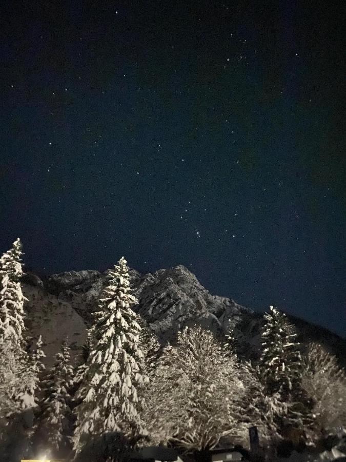クランスカゴーラApartma Roziアパートメント エクステリア 写真